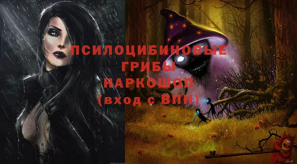 кристаллы Снежногорск
