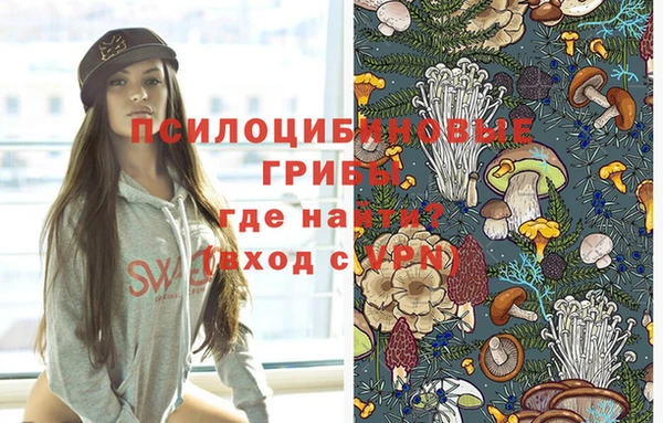 амфетамин Алексеевка