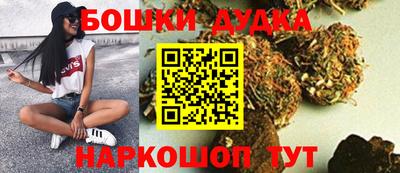 МДПВ Новокубанск