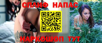 МДПВ Новокубанск