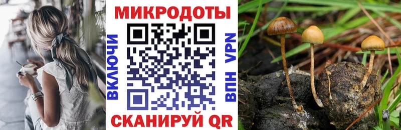 Псилоцибиновые грибы Psilocybine cubensis  закладка  мега зеркало  Волхов 
