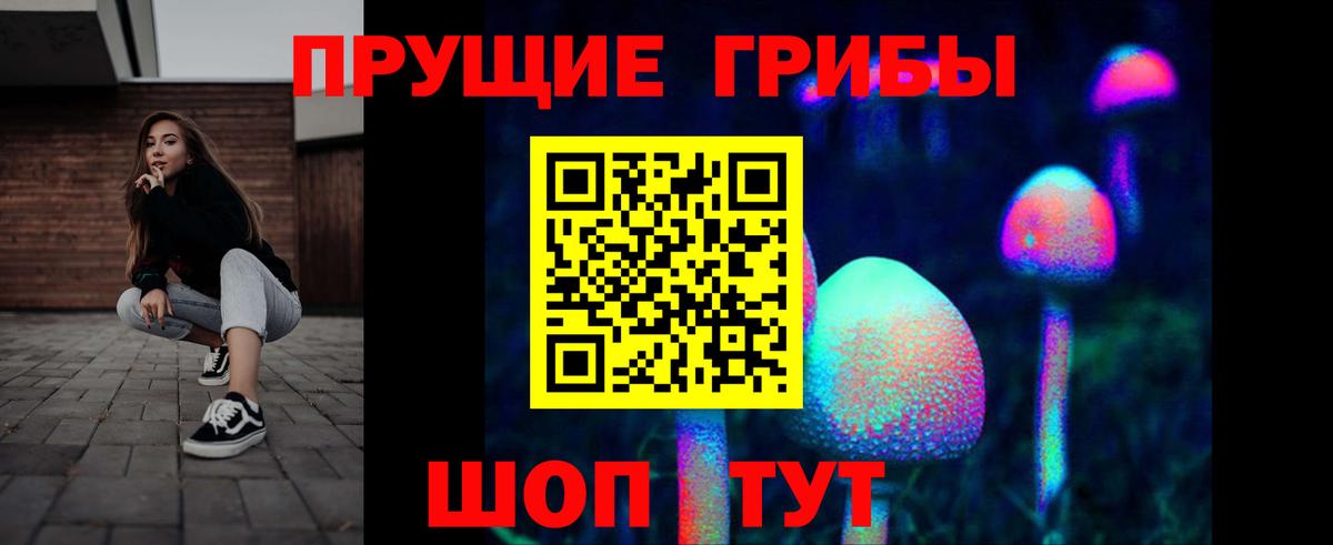Псилоцибиновые грибы MAGIC MUSHROOMS Волхов